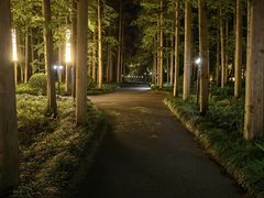 -上海怡沁园度假酒店
