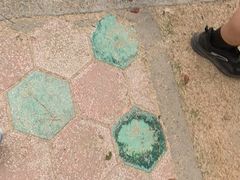 -观潮胜地公园