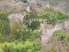 -北京十三陵国家森林公园蟒山景区