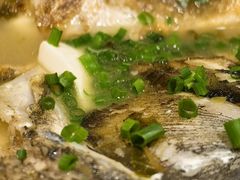 鱼头-红尘再(安昌古镇店)