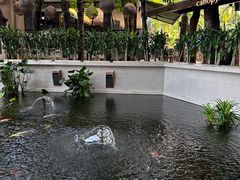 -普吉岛卡塔阿维斯塔诺富特酒店度假村