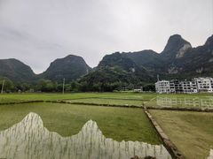 -明仕田园