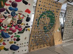-绿壁虎攀岩基地(Tcar店)