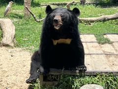 -常州淹城野生动物世界