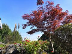 -云漫湖生态度假公园