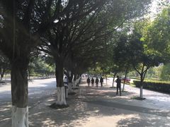 -西南政法大学(渝北校区)