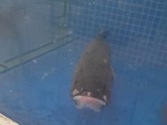 -香山湖渔家大院