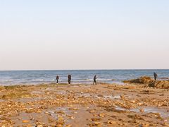 -日照灯塔风景区