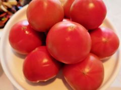 -青岛海景花园大酒店·白果树餐厅青岛菜