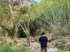 -亚婆田·白水寨生态旅游度假区