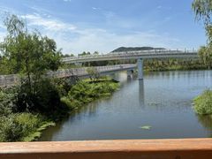 -羊亭河湿地公园