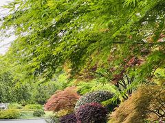 -浙江西子宾馆·瑶园咖啡厅