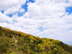 -大觉寺-停车场