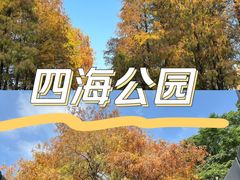 -四海公园(南山区)