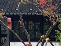 -沙家浜风景区