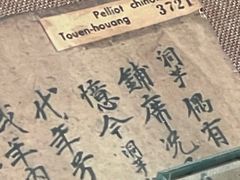 -敦煌市博物馆