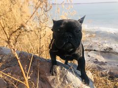 -天津东丽湖风景区