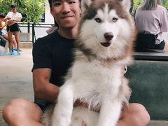 -TrueLove @ Neverland (Husky Cafe)