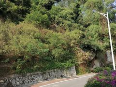 -火炉山森林公园