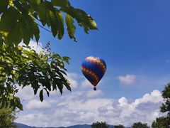-中国科学院西双版纳热带植物园
