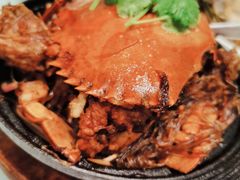 -新吉士·上海菜(浦东LCM置汇旭辉店)