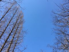 -崂山九水游览区