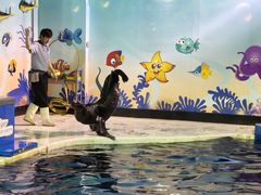 -太平洋海底世界