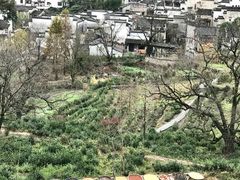 -塔川景区