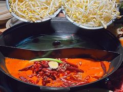 -阳阳老火锅(小南门店)