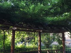 -西安市长乐公园