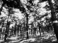 -鬼笑石后山停车场