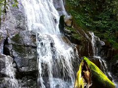 -藏龙百瀑风景区