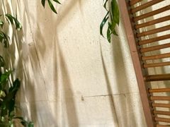 -大头椰·椰子鸡火锅(南宁万象城店)