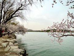 -颐和园