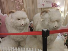 -新兴家喻酒家·羊城名宴(昌岗店)