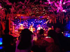 -周庄红庭演艺酒吧