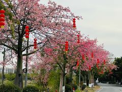 -大旗头古村