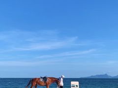 -玫瑰海岸文化旅游度假区