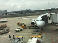 -上海浦东国际机场T1航站楼-P1停车场