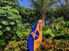 -演武大桥观景平台