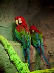 -Zoolung Zoolung动物主题公园(海信广场店)