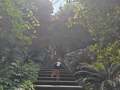 -重庆平顶山公园