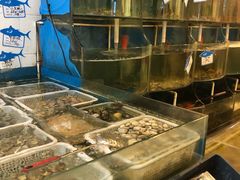 水产区-天桥饭店·特色海鲜(金山嘴渔村店)