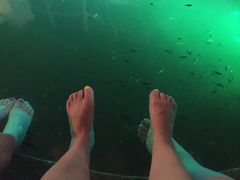 -宝丽金大酒店·洗浴中心