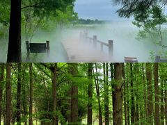 -东湖落雁景区