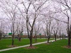 -龙美术馆西岸馆-停车场