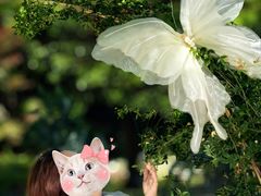 -上海鲜花港