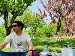 -洨河生态公园