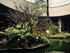 -厦门高崎国际机场-T3航站楼