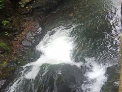 -凤凰山国家森林公园
